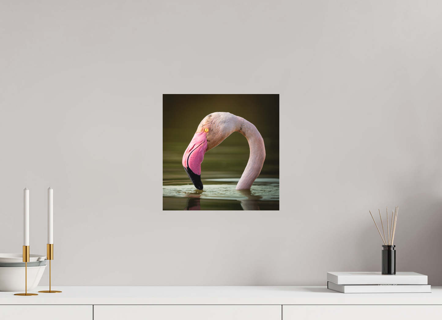 Flamant Rose | le flamant d'eau