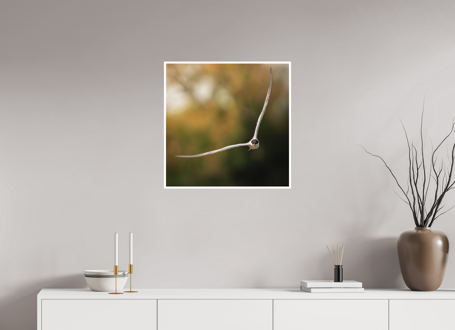 Sterne Pierregarin | des ailes couteaux