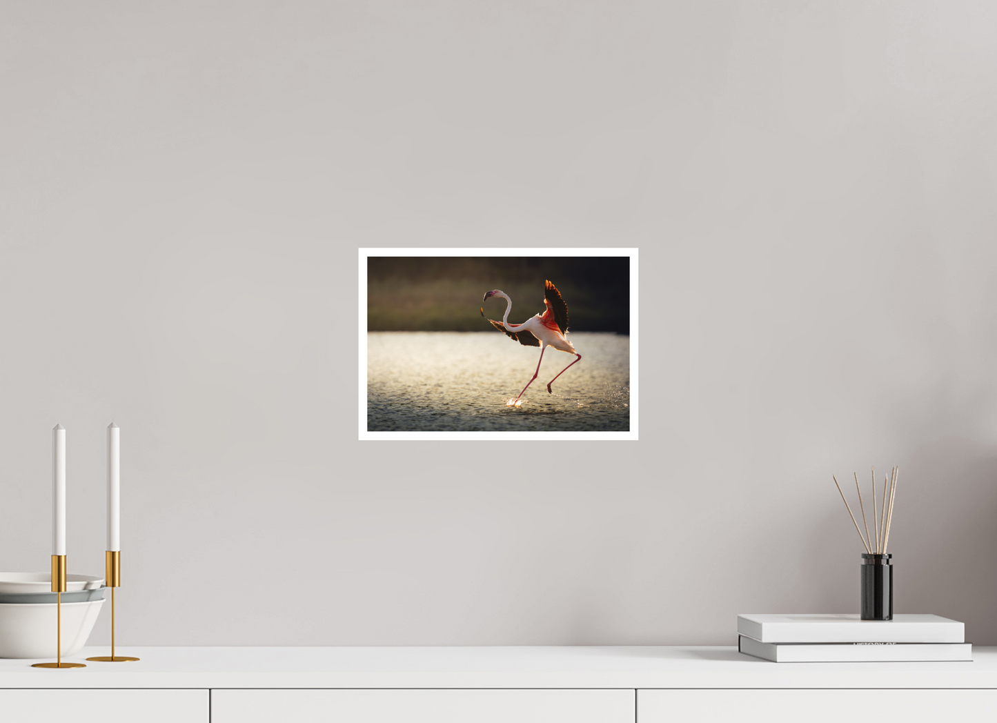 Flamant Rose | le symbole de la camargue