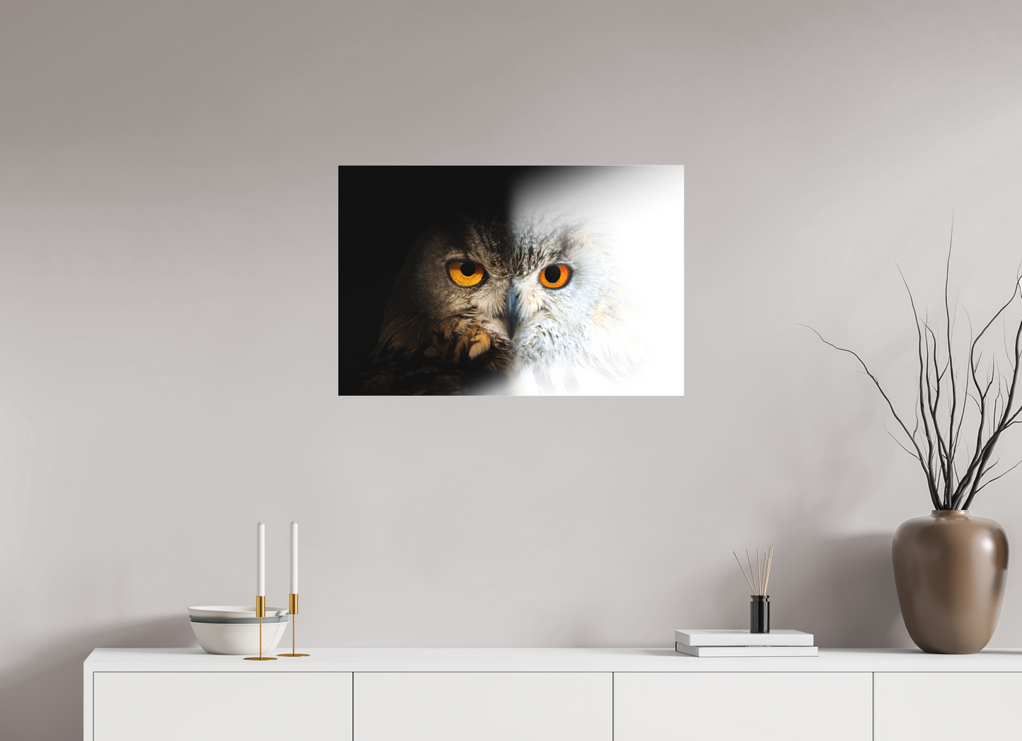 Hibou Grand-duc d'Europe & de Sibérie | entre ténèbres et lumière