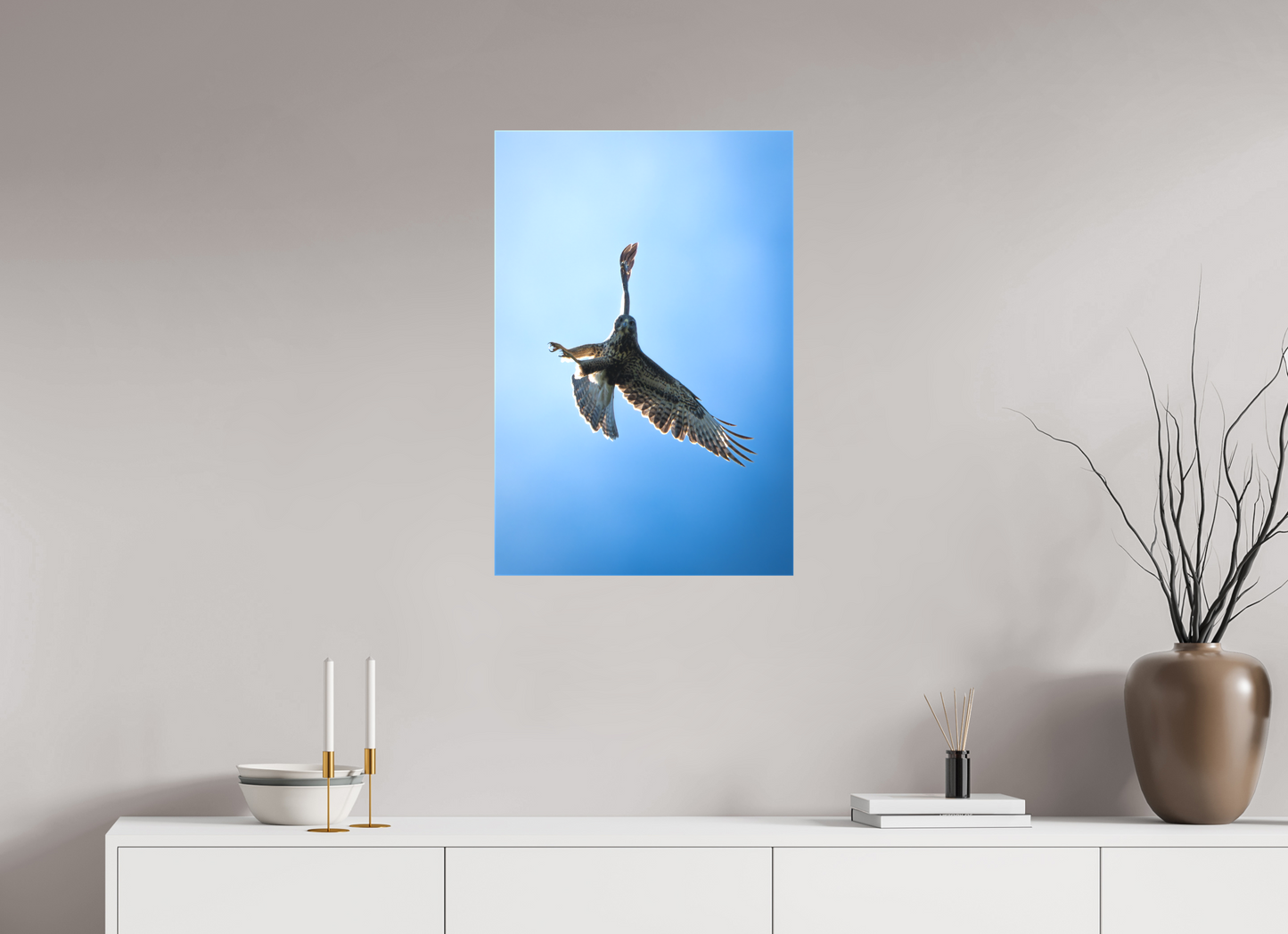 Buse variable | l’œil du ciel