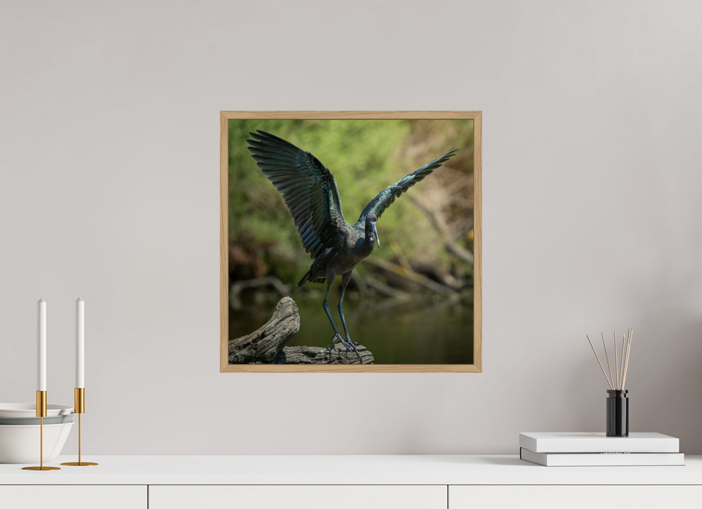 Ibis Falcinelle | cuivre absolu