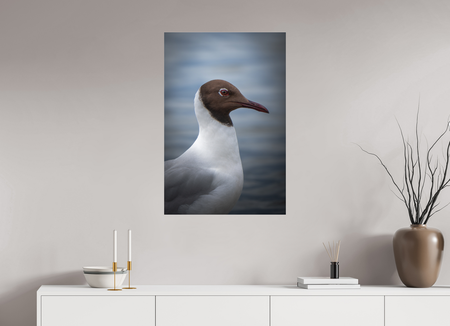 Mouette rieuse | le casque brun