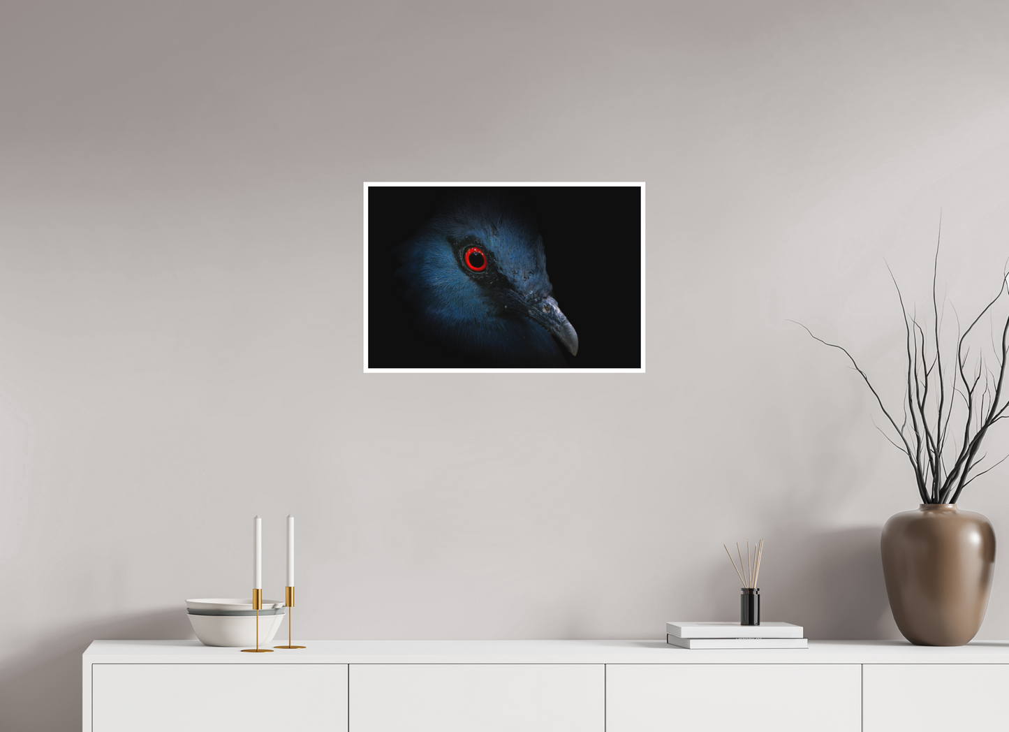 Goura de Victoria | l'oeil rouge sang