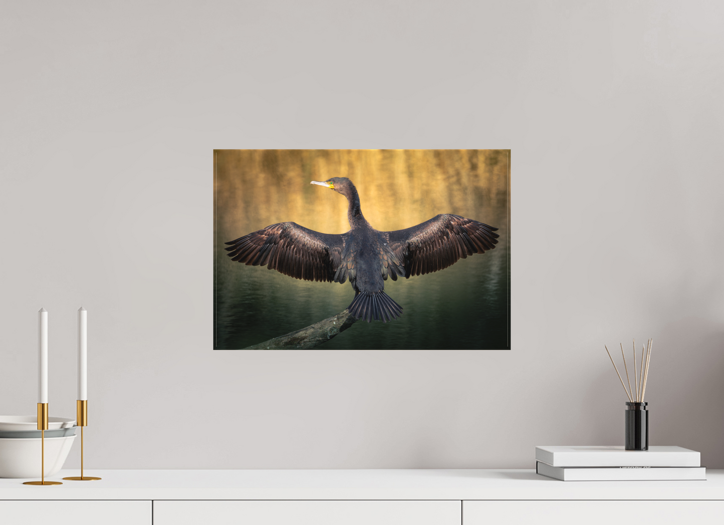 Grand Cormoran | les ailes oxydé