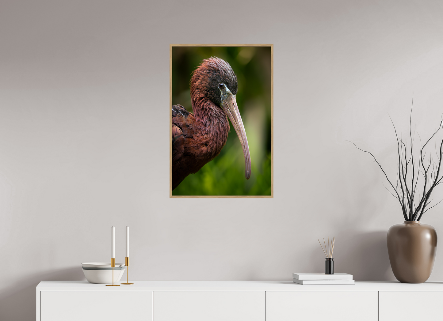 Ibis Falcinelle | un long bec courbé