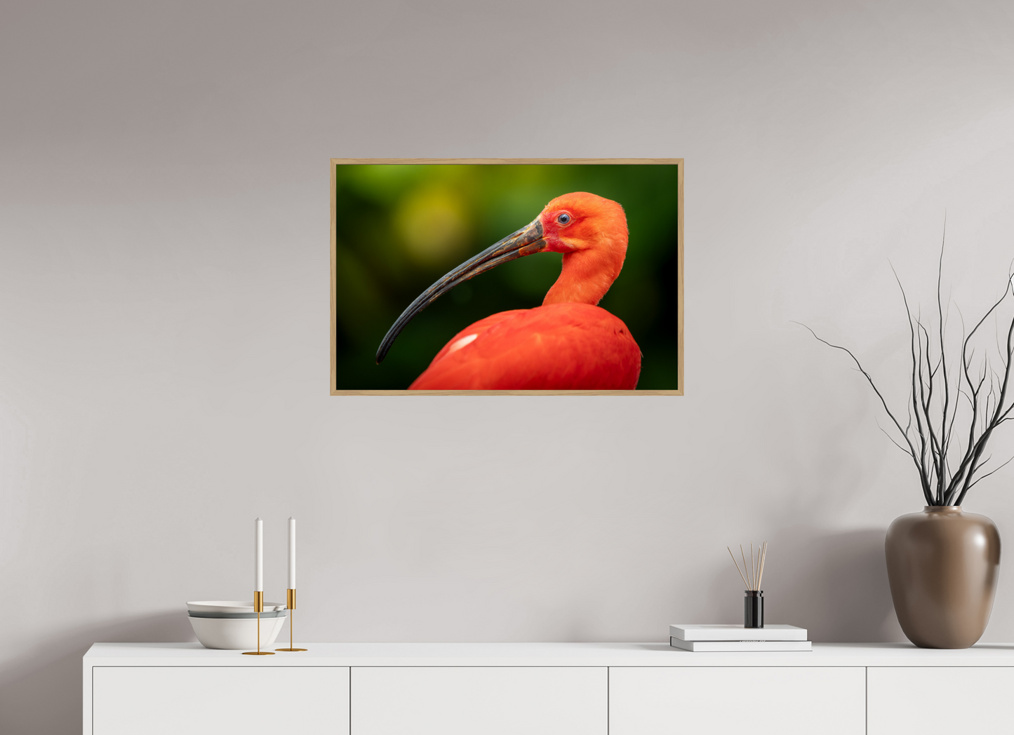 Ibis Rouge | un rouge écarlate