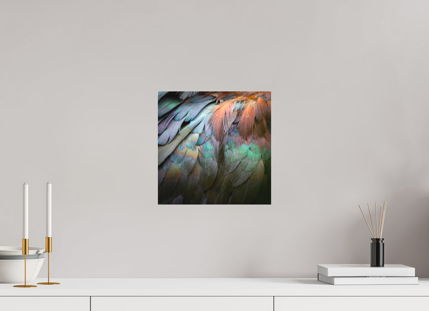 Ibis Falcinelle | iridescence cuivrée