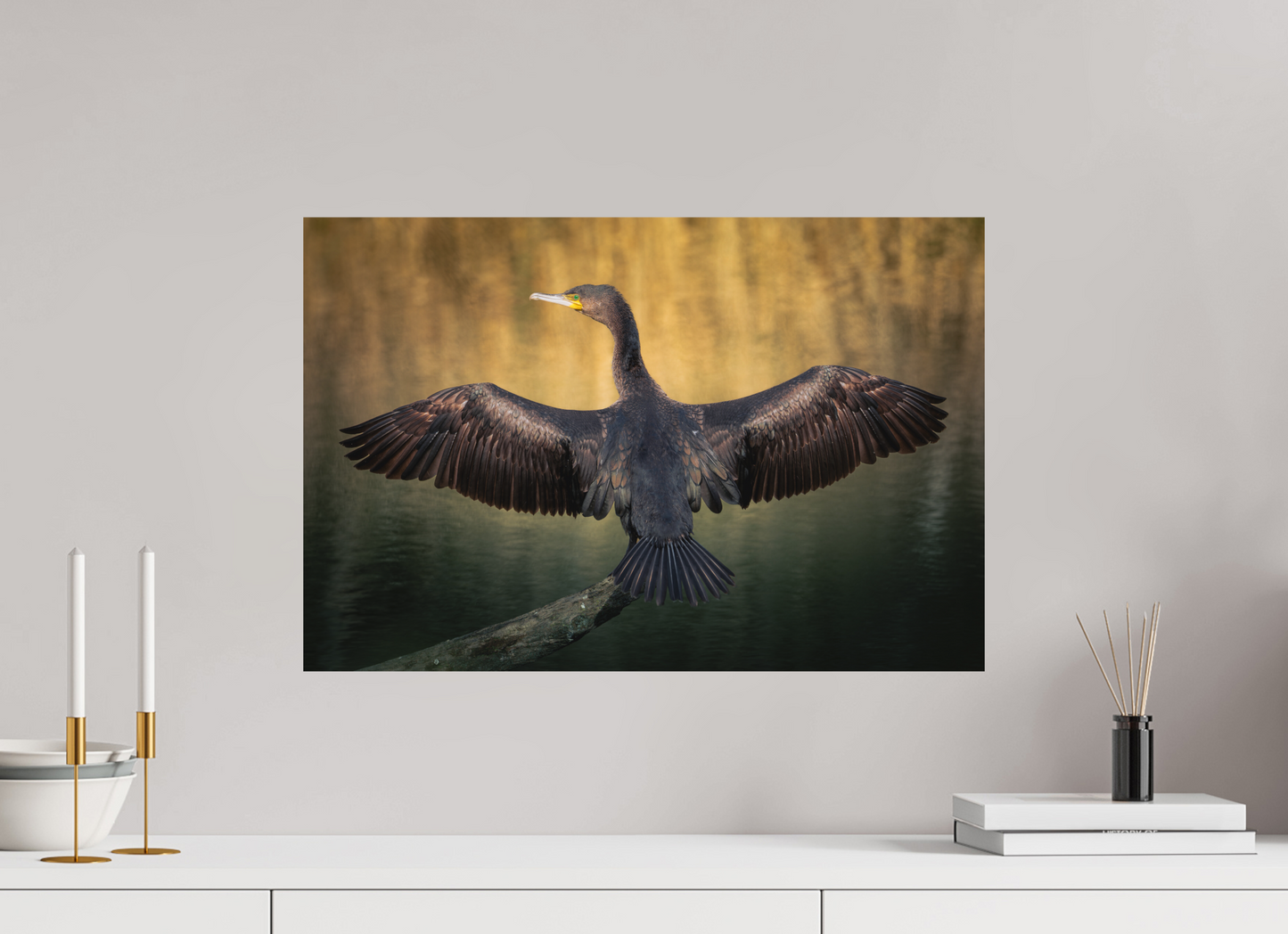 Grand Cormoran | les ailes oxydé