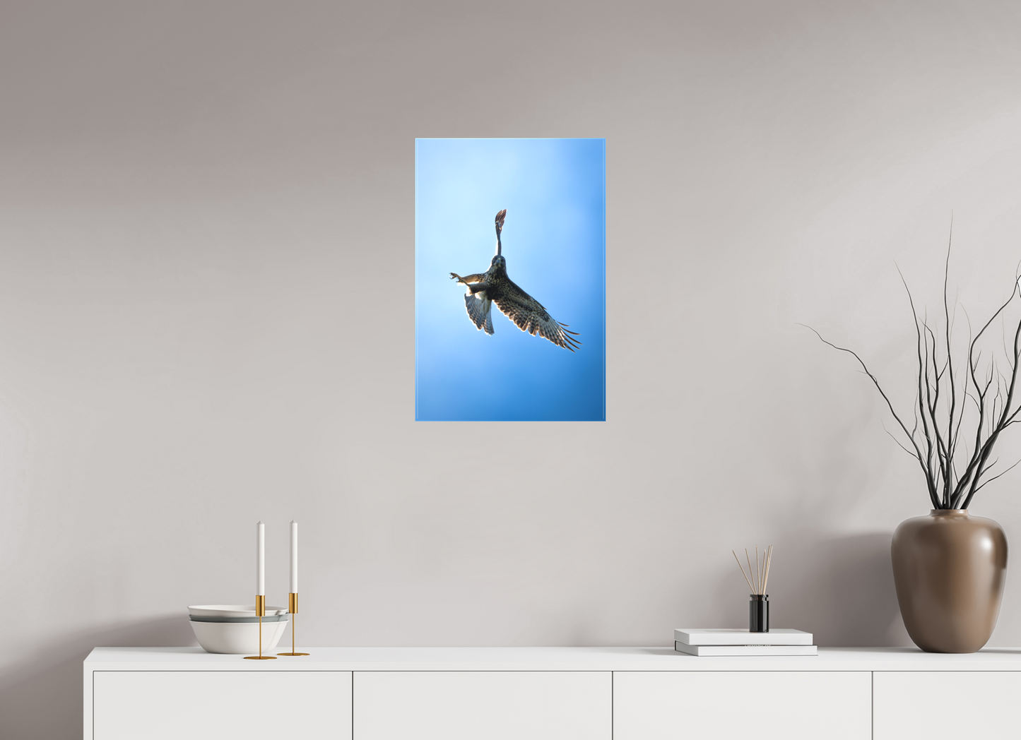 Buse variable | l’œil du ciel