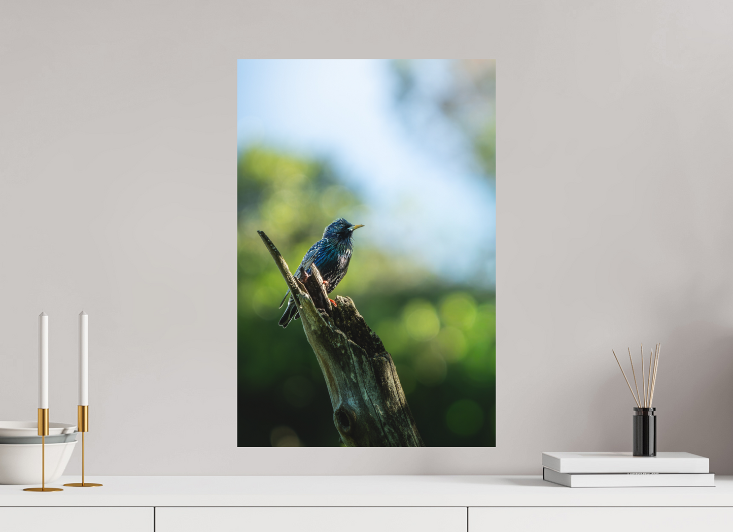 40 x 60 cm, Forex Lueur Boréale