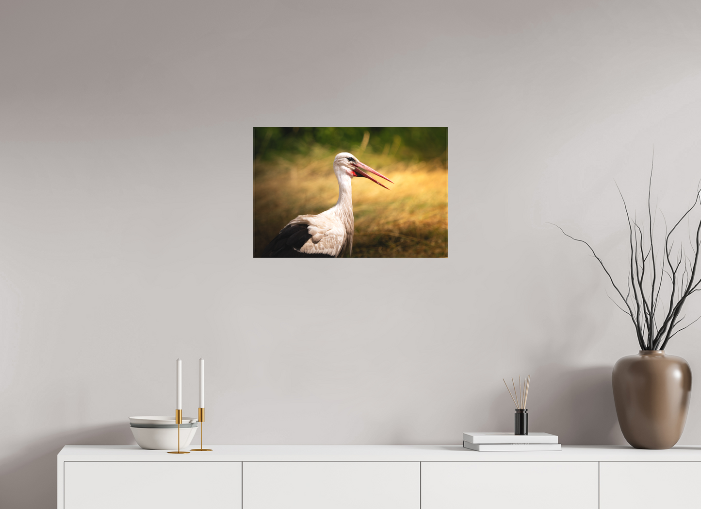Cigogne blanche | une chaleur ardente