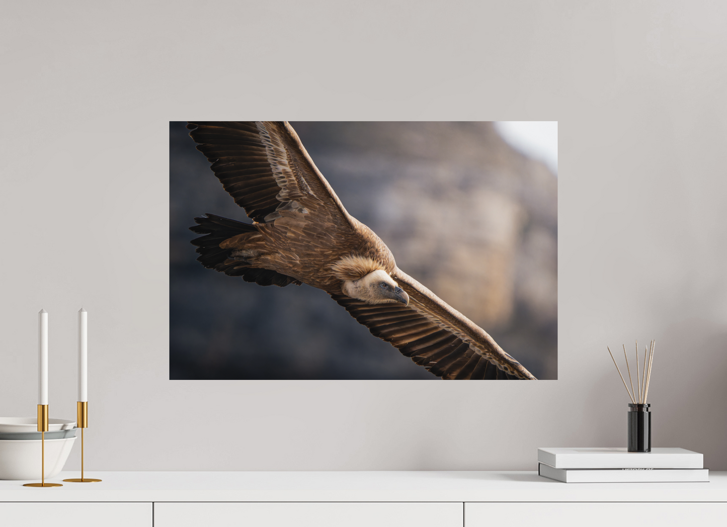 60 x 40 cm, Alu Dibond Altus Rex