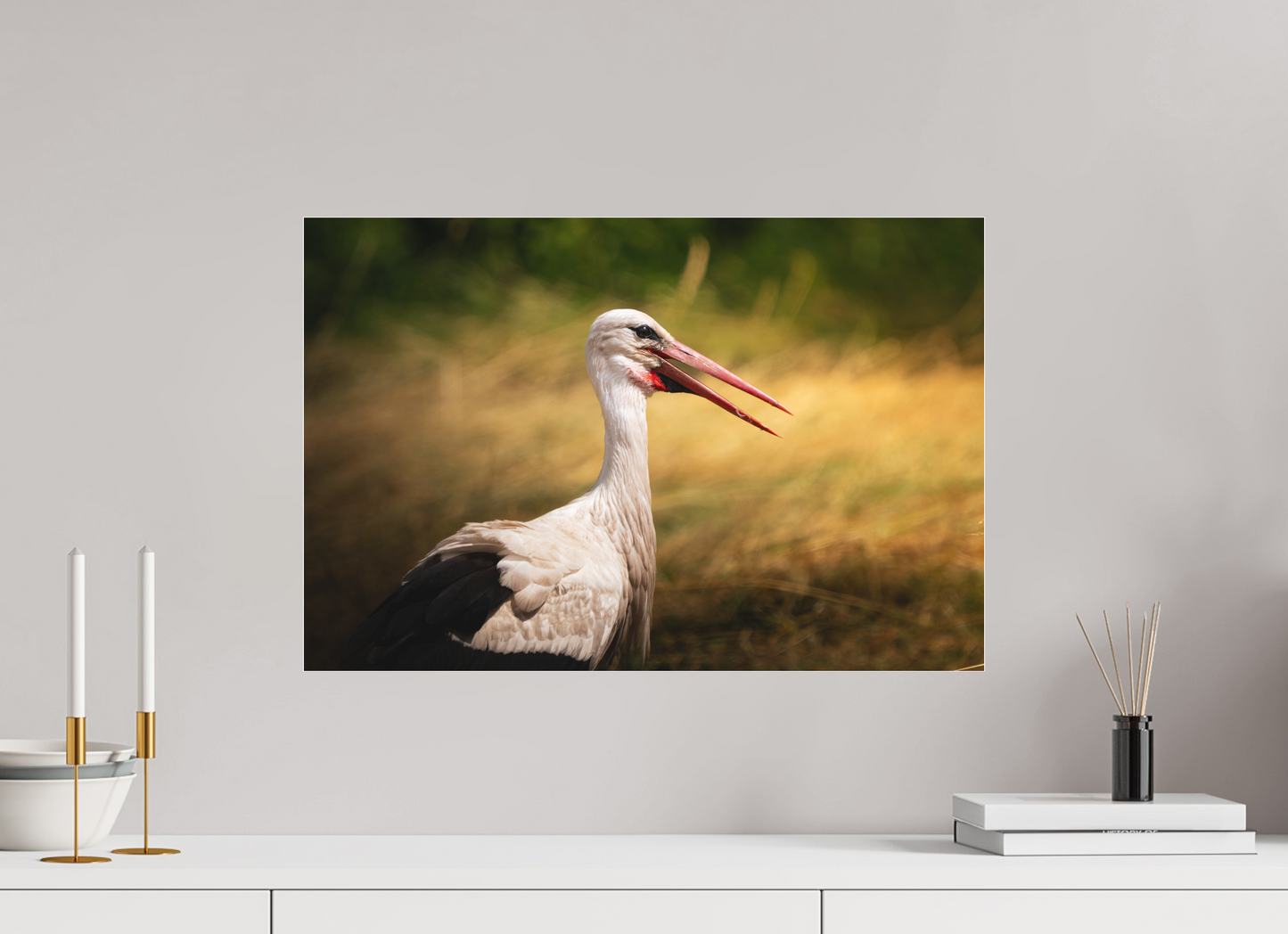 Cigogne blanche | une chaleur ardente
