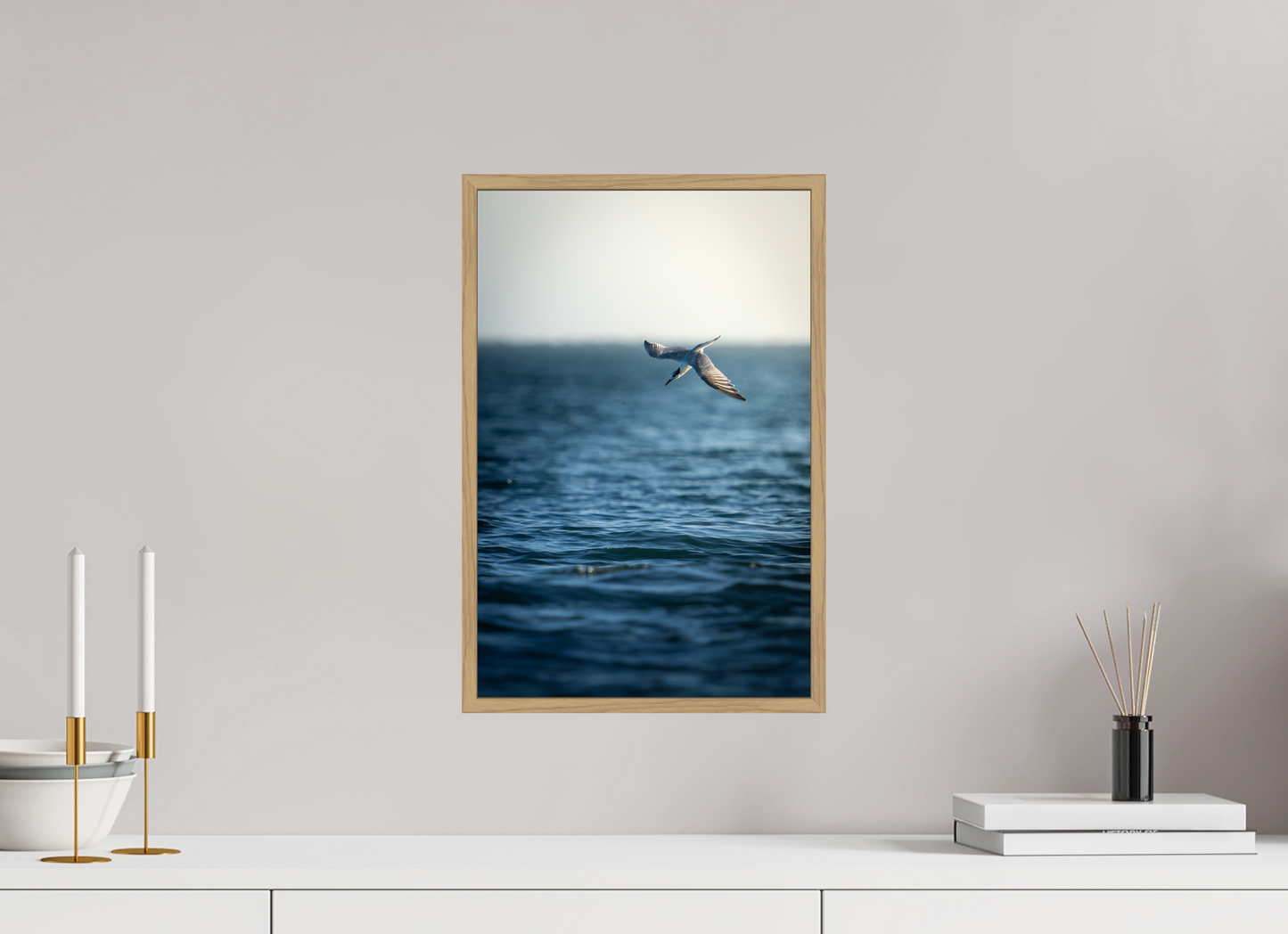 Sterne Caugek | plongeon fulgurant