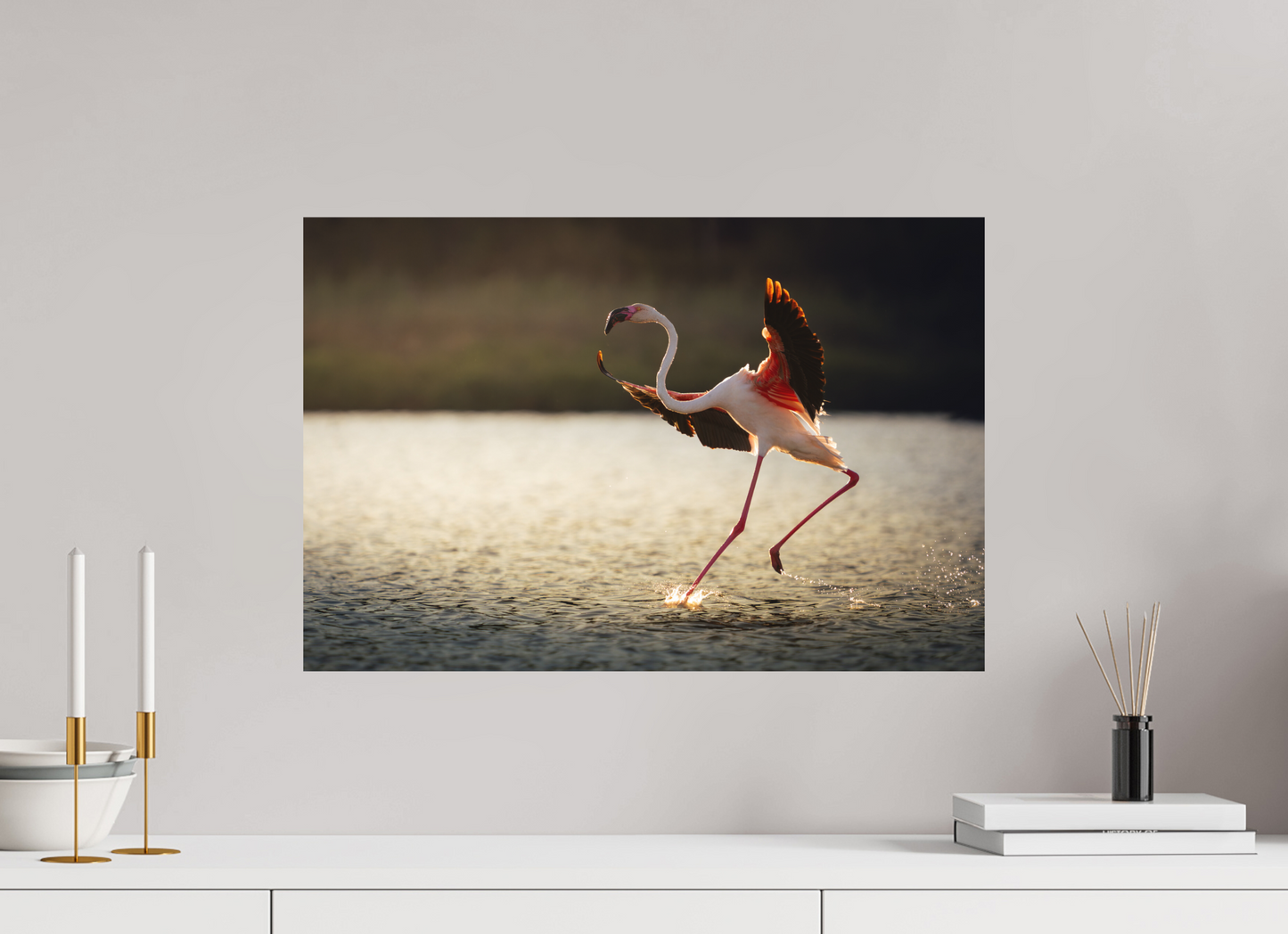 Flamant Rose | le symbole de la camargue