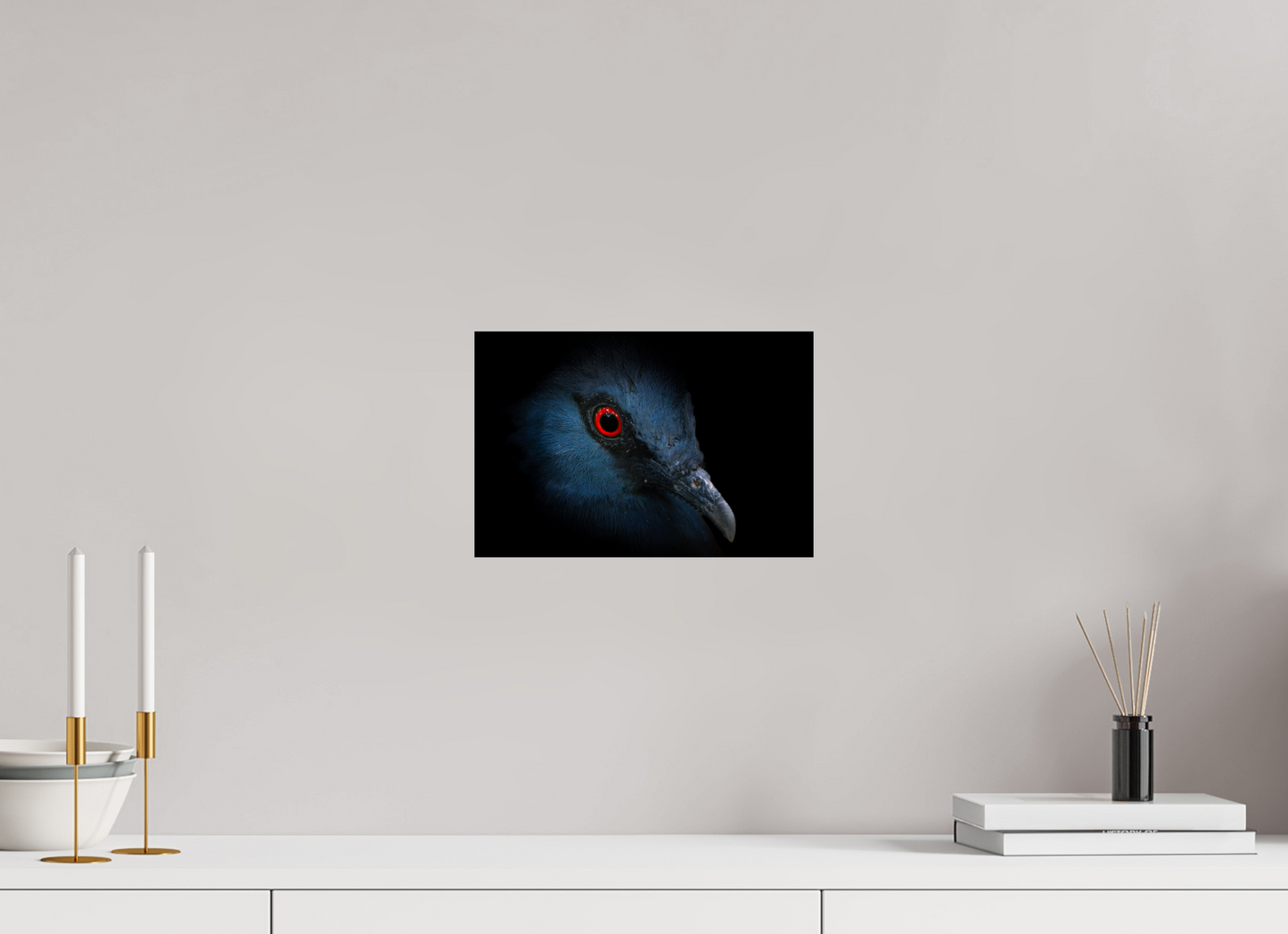 Goura de Victoria | l'oeil rouge sang