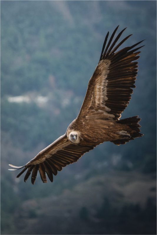 Main image Envergure du monde