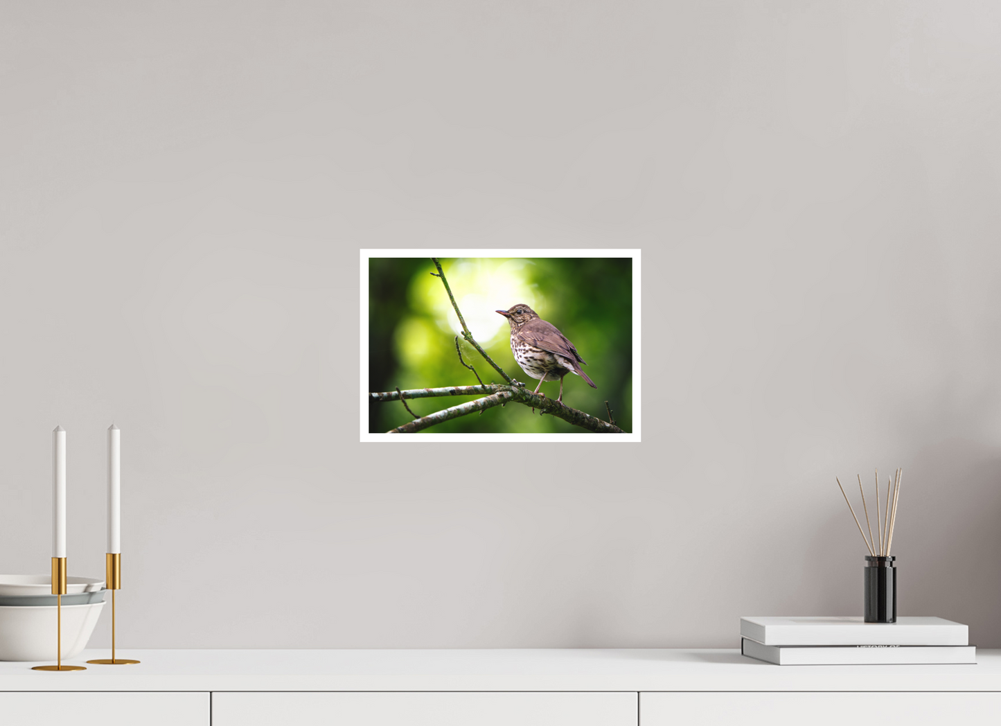 30 x 20 cm, Fine Art Arboréal