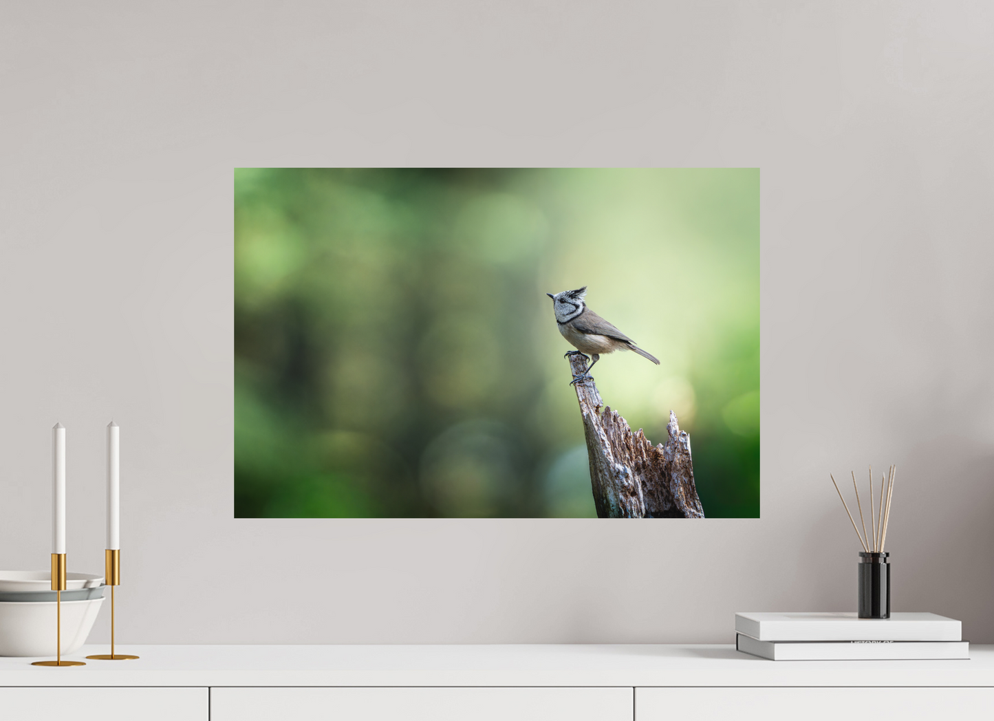 60 x 40 cm, Forex Présence Sylvestre