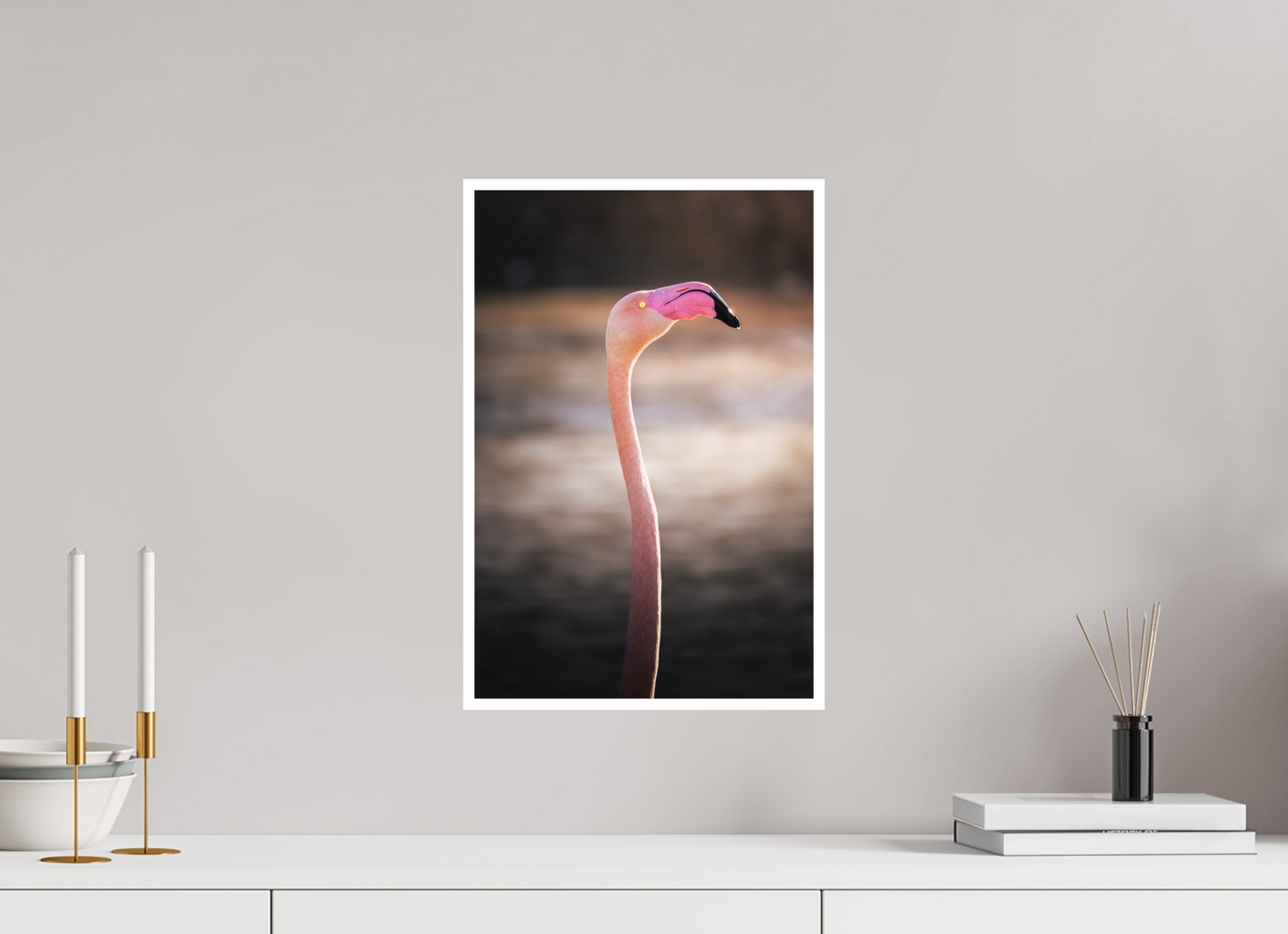 Flamant Rose | un très long cou