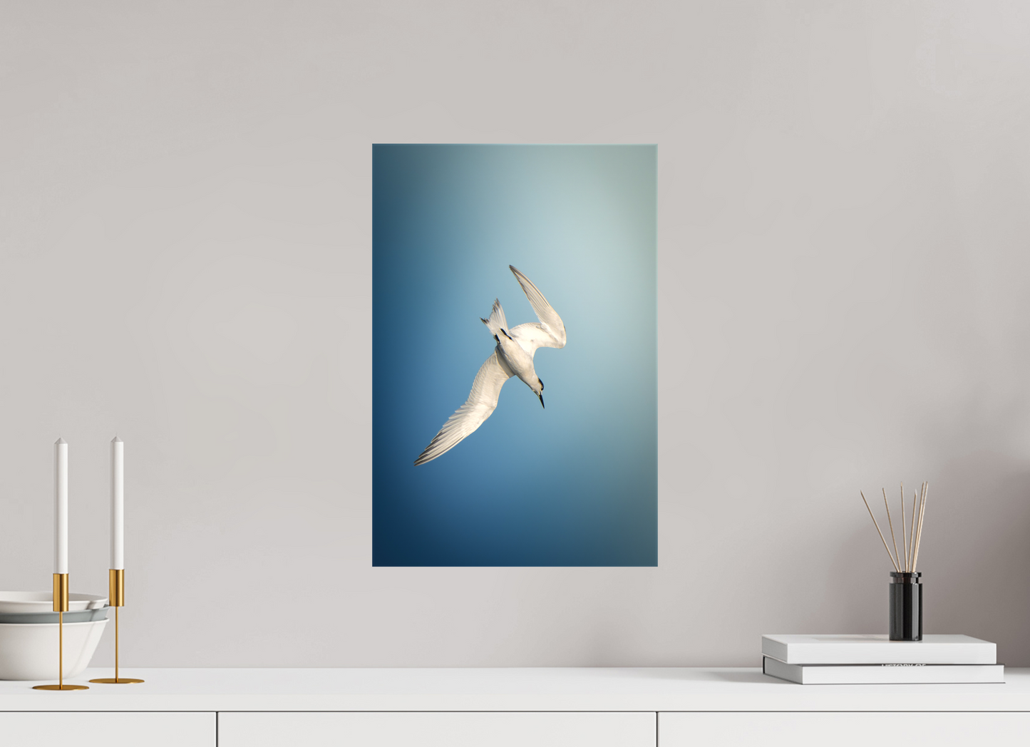 Sterne Caugek | l'amorce