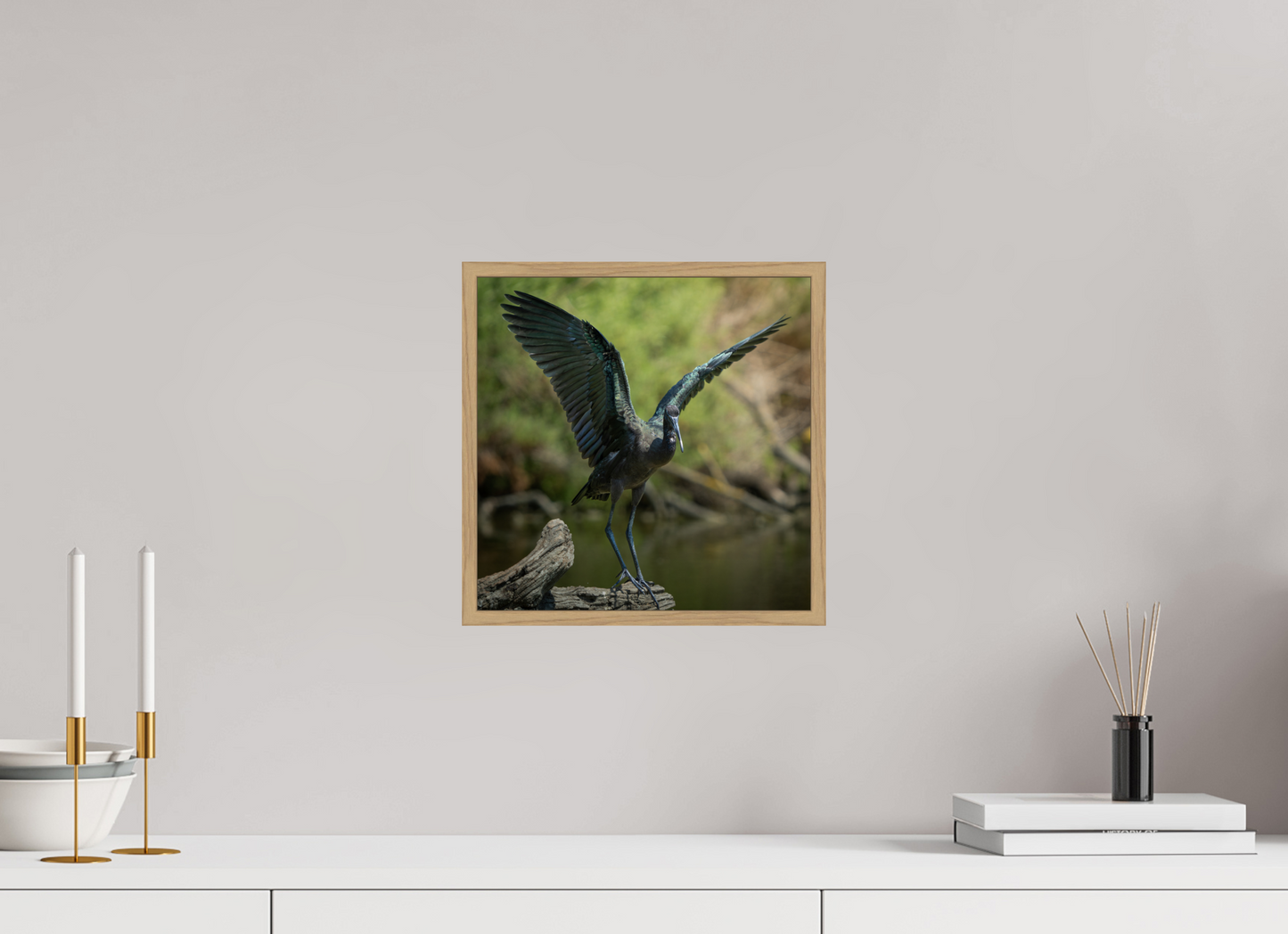 Ibis Falcinelle | cuivre absolu