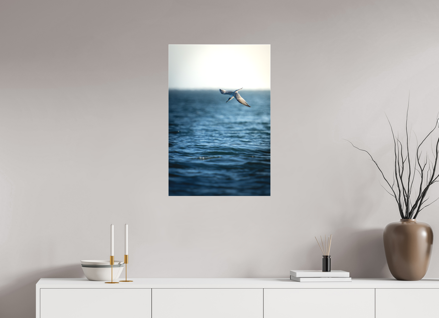 Sterne Caugek | plongeon fulgurant