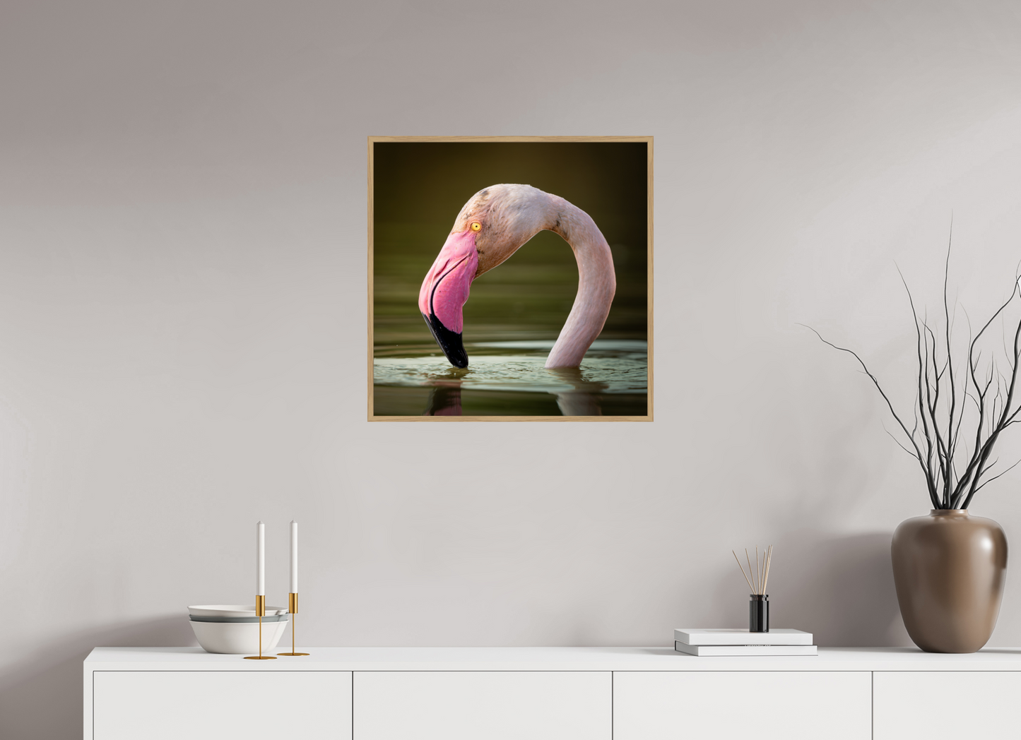 Flamant Rose | le flamant d'eau
