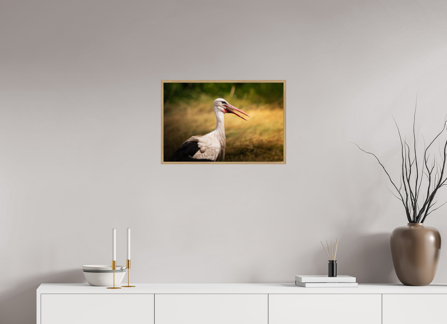 Cigogne blanche | une chaleur ardente