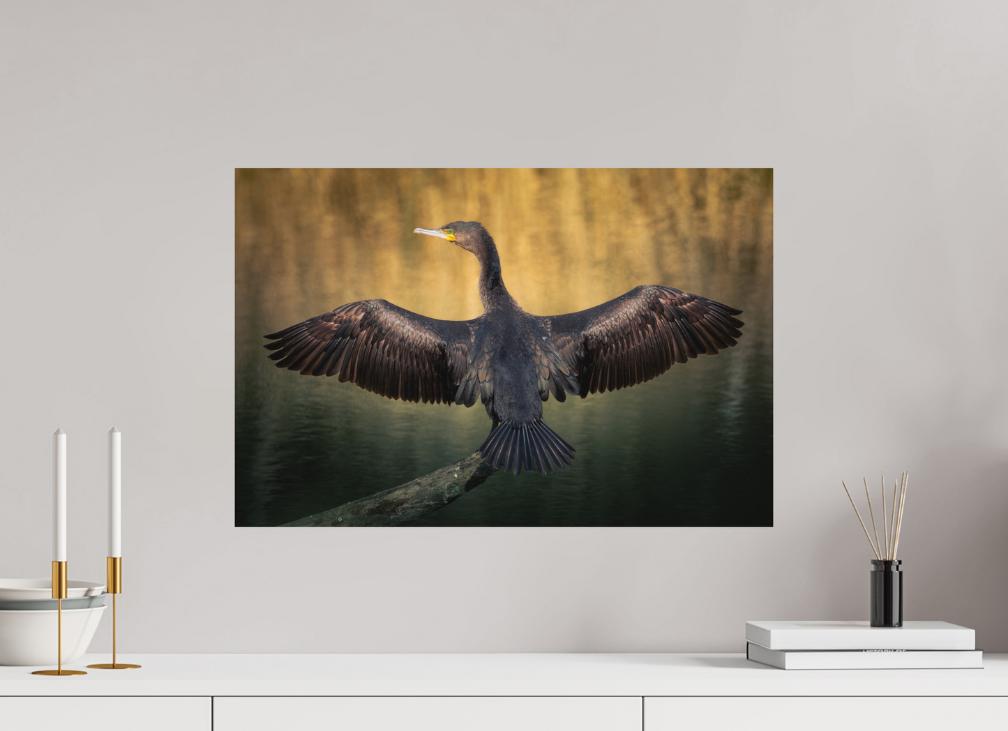 Grand Cormoran | les ailes oxydé