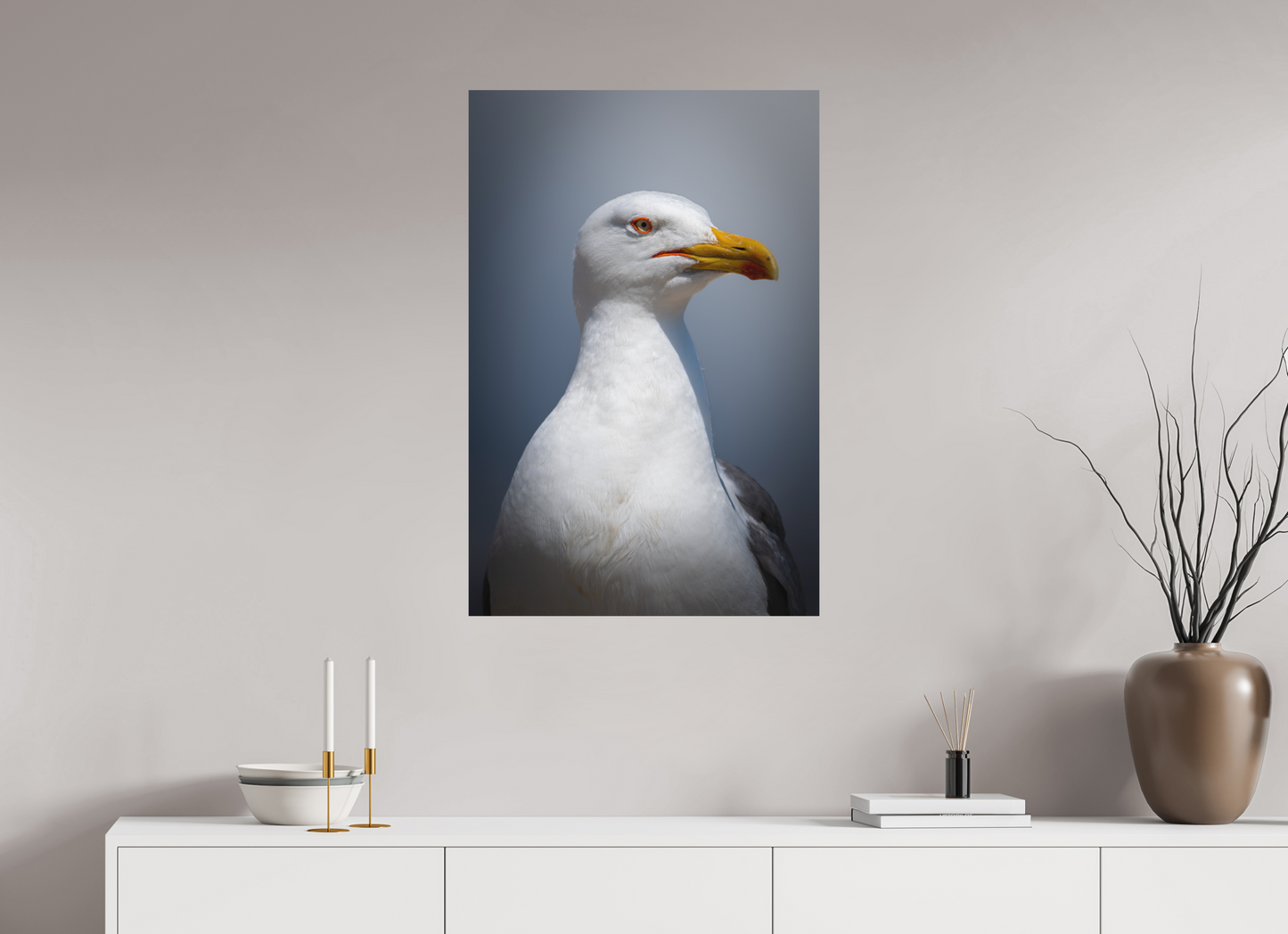 Goéland Leucophée | un portrait marin
