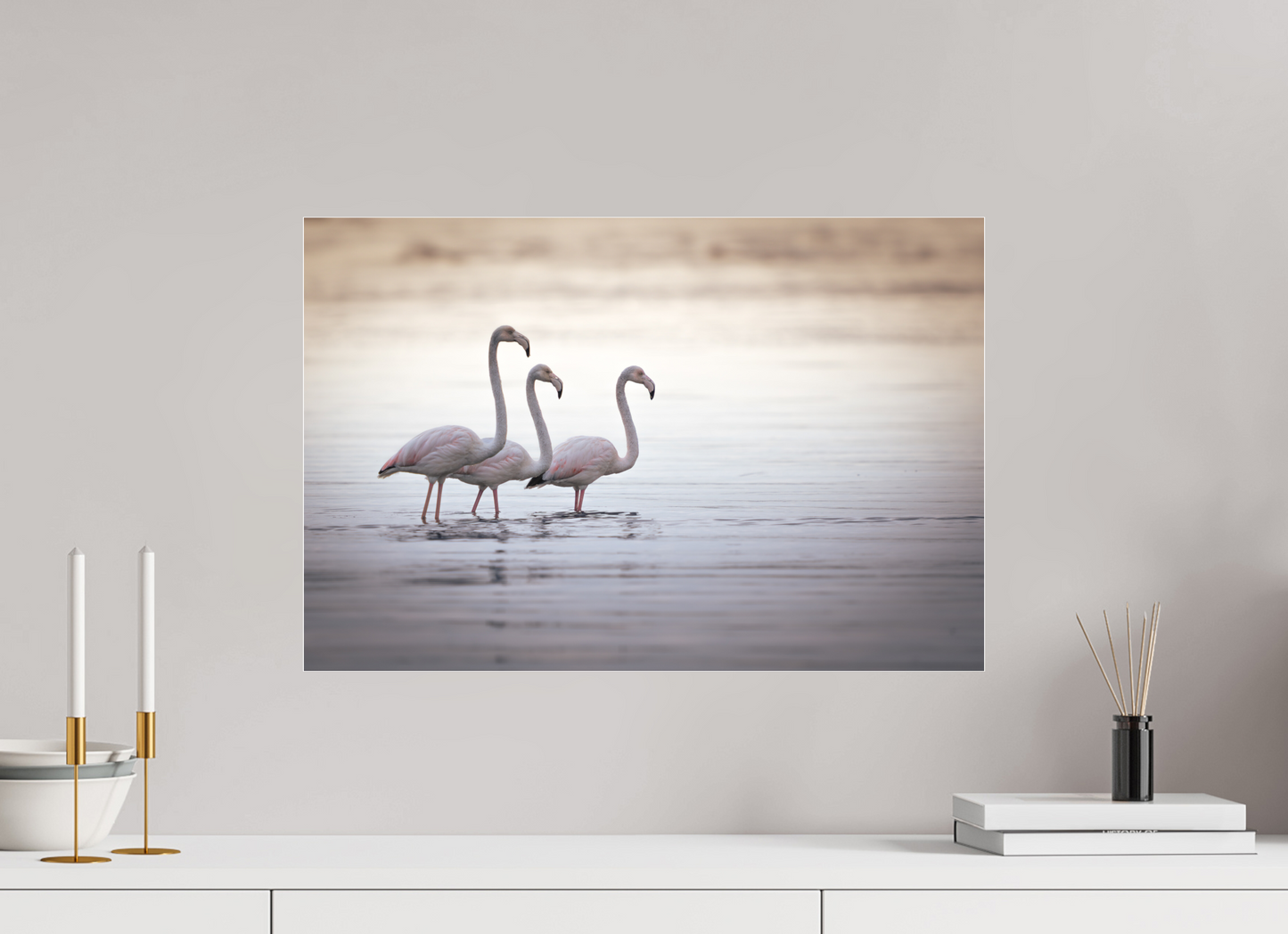 Flamant Rose | le trio juvénile