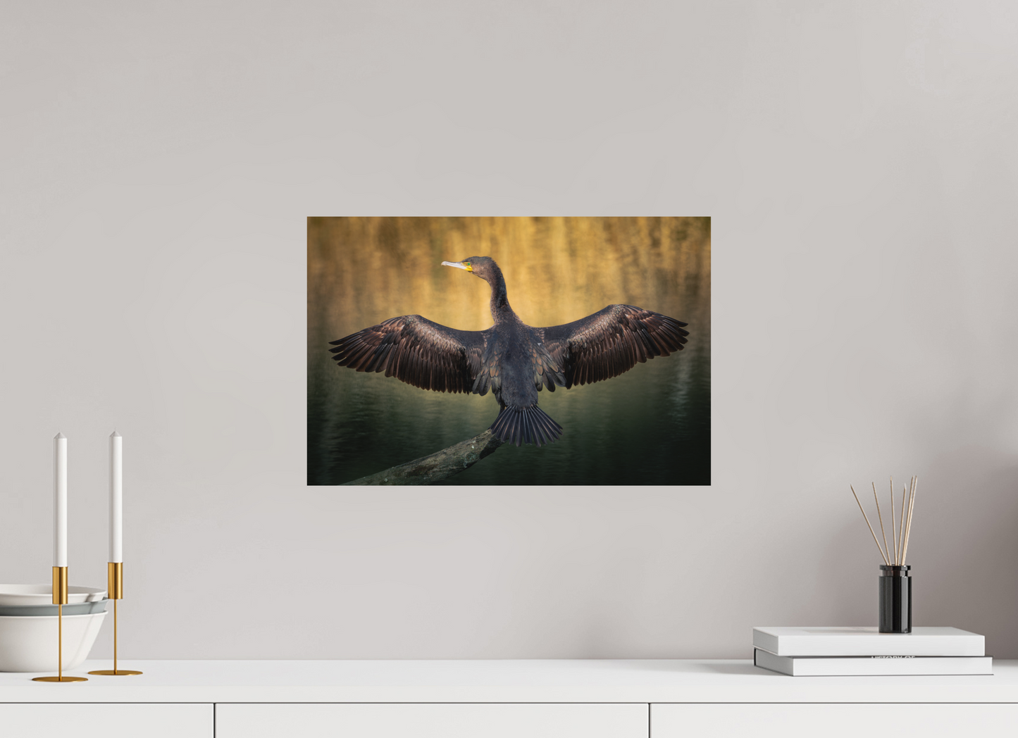 Grand Cormoran | les ailes oxydé