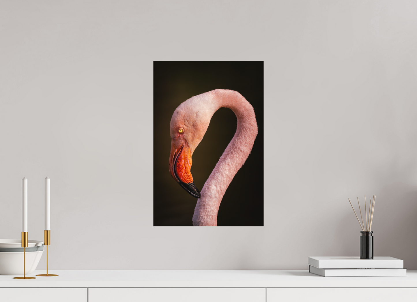 Flamant Rose | des couleurs mortel