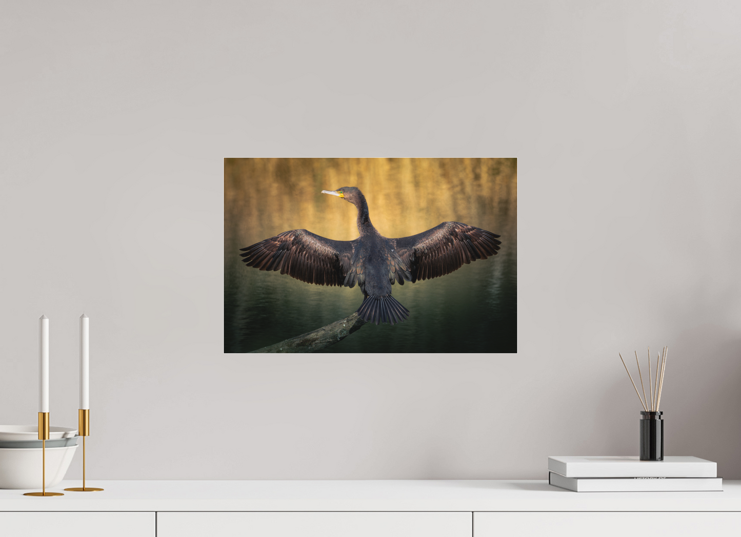 Grand Cormoran | les ailes oxydé