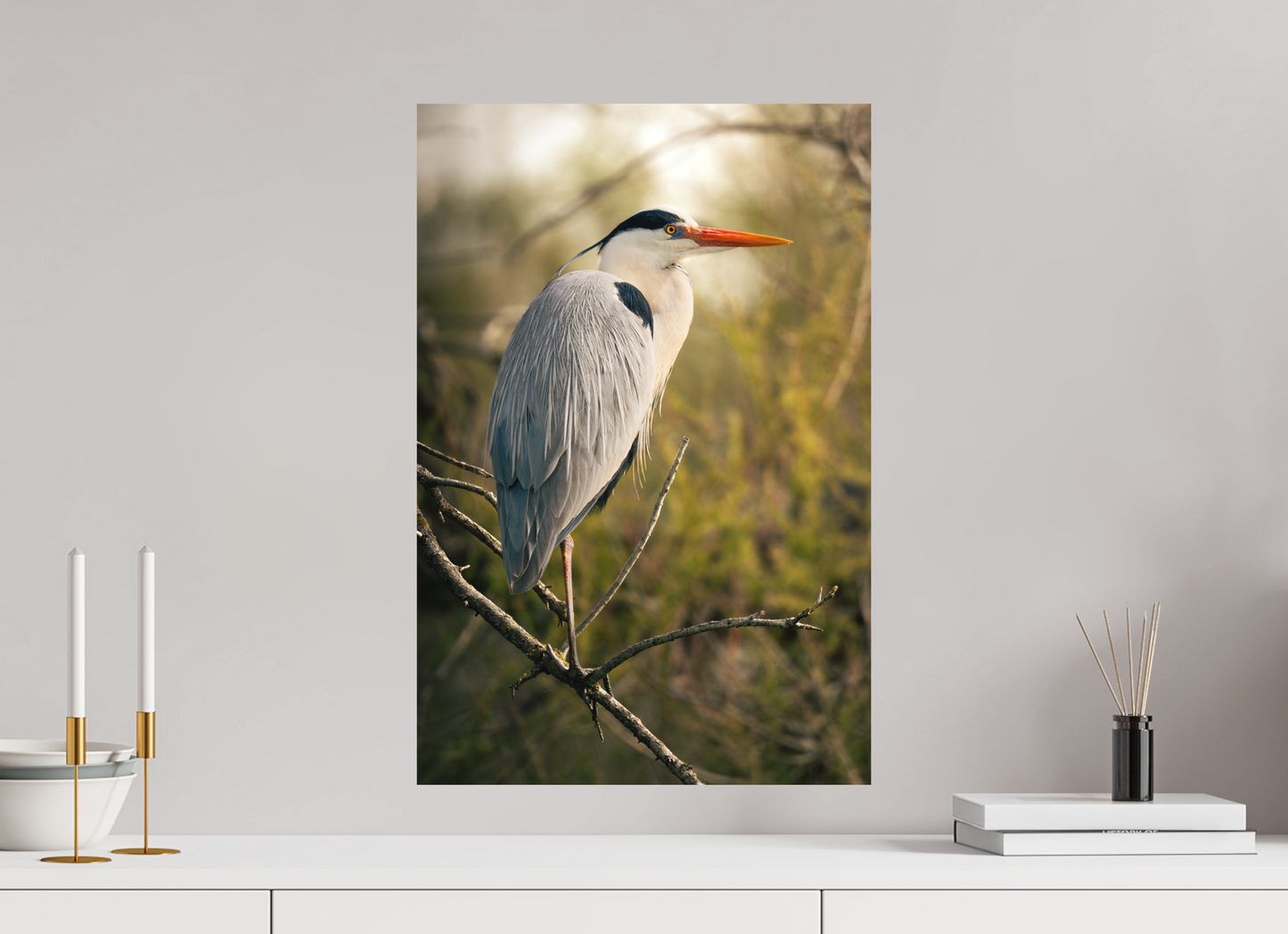 40 x 60 cm, Forex Hinode No Pōzu