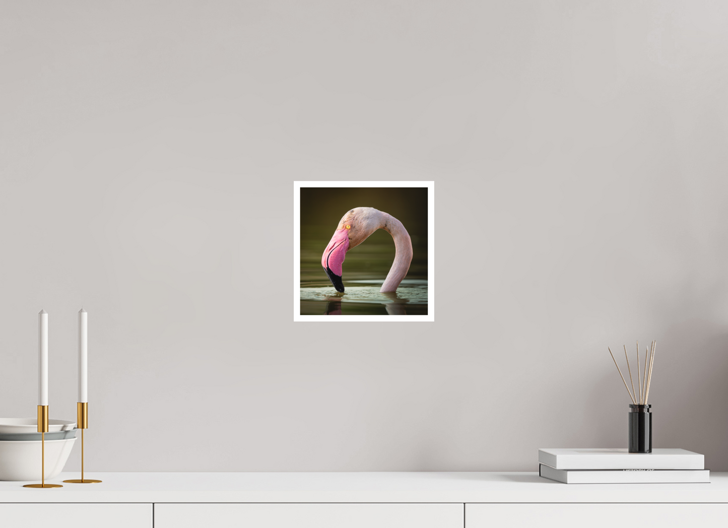 Flamant Rose | le flamant d'eau
