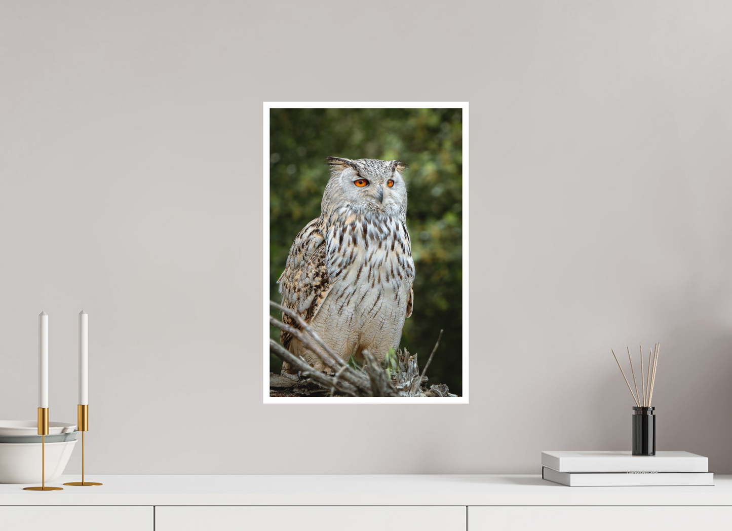 Hibou Grand-duc de Sibérie | belaïa ten’