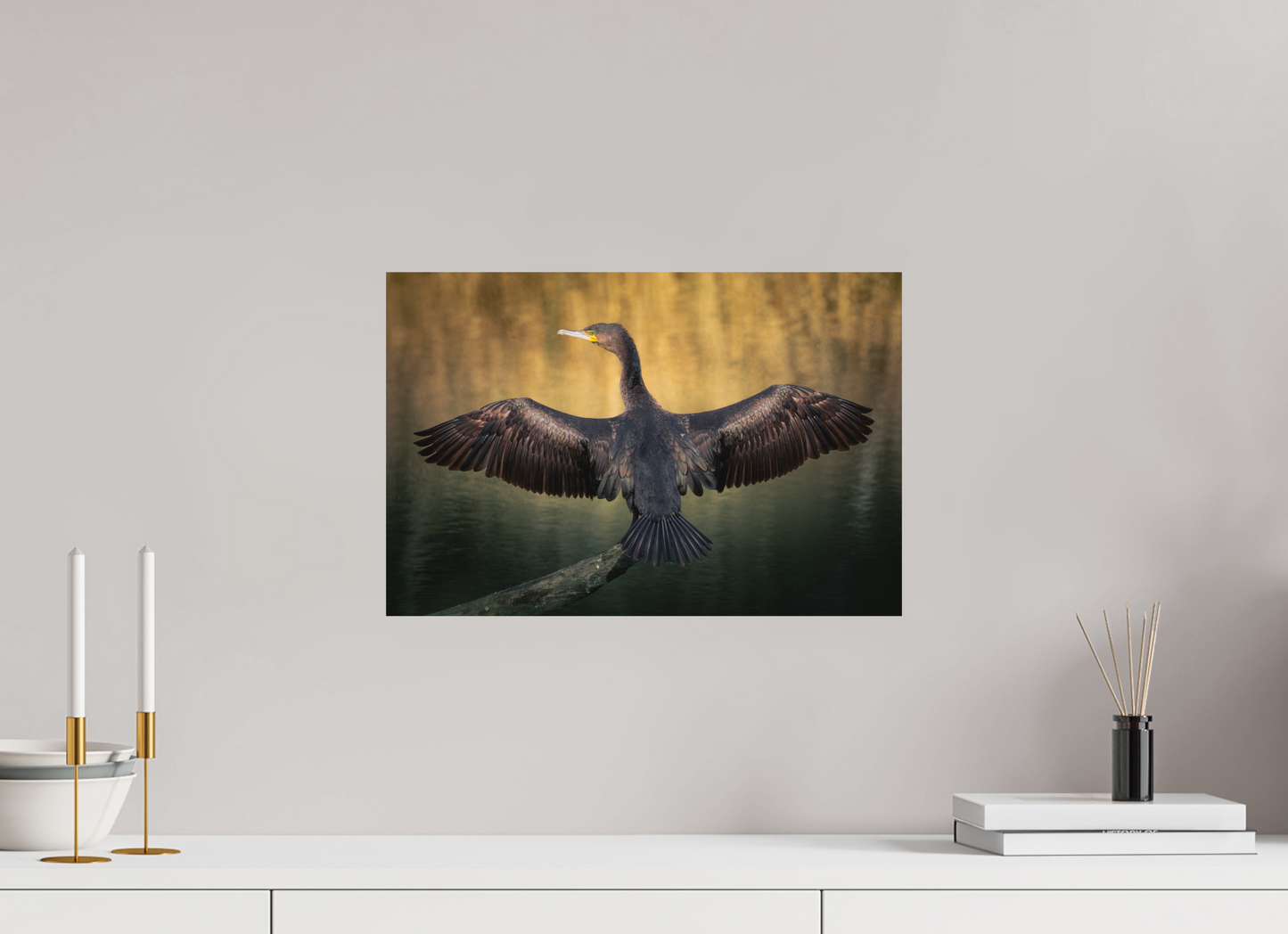 Grand Cormoran | les ailes oxydé