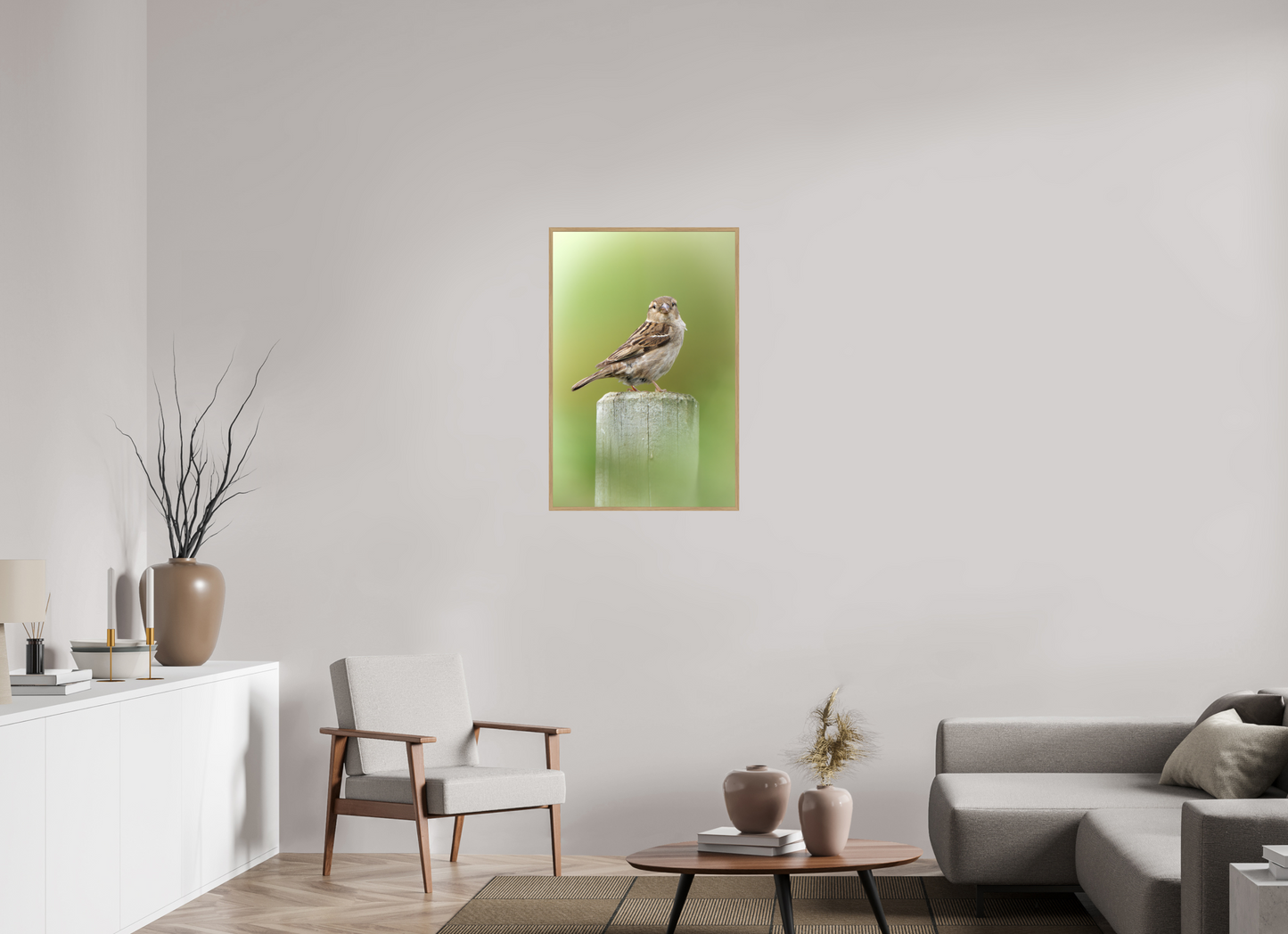 Moineau domestique | un regard mignon