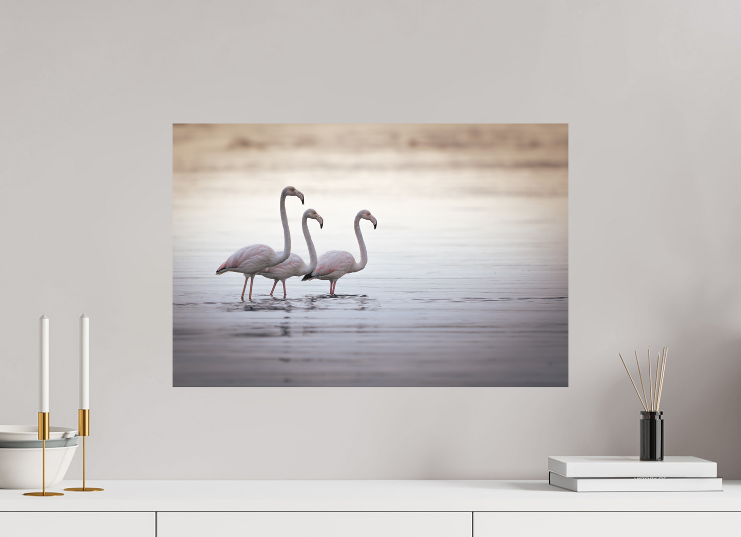 Flamant Rose | le trio juvénile
