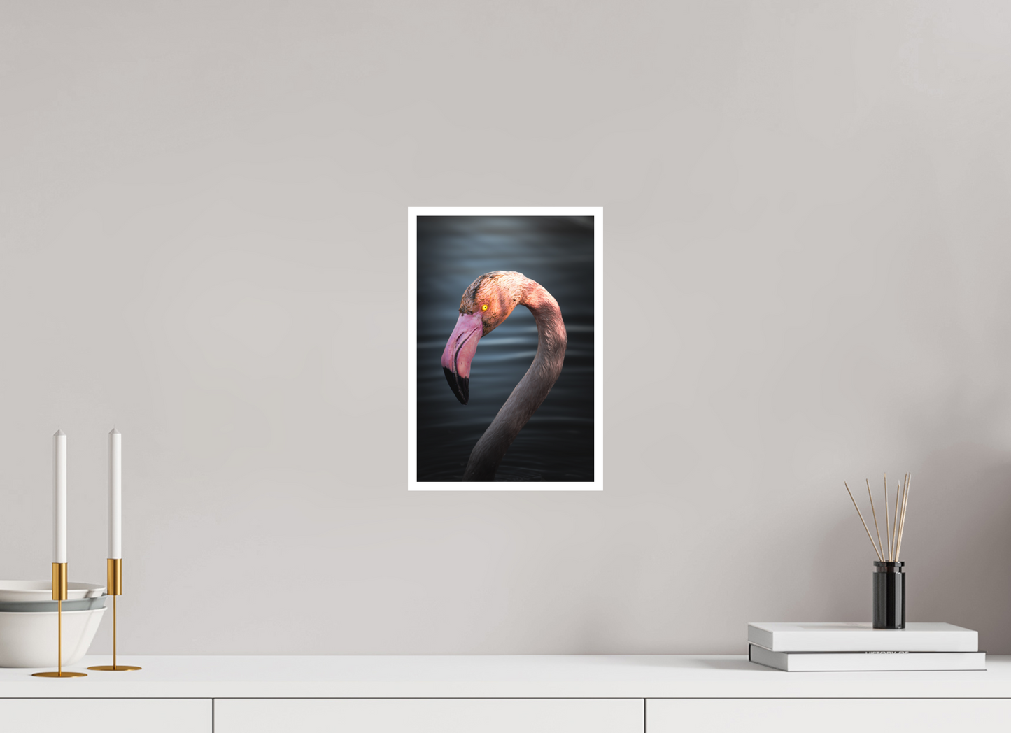 Flamant Rose | un regard menaçant