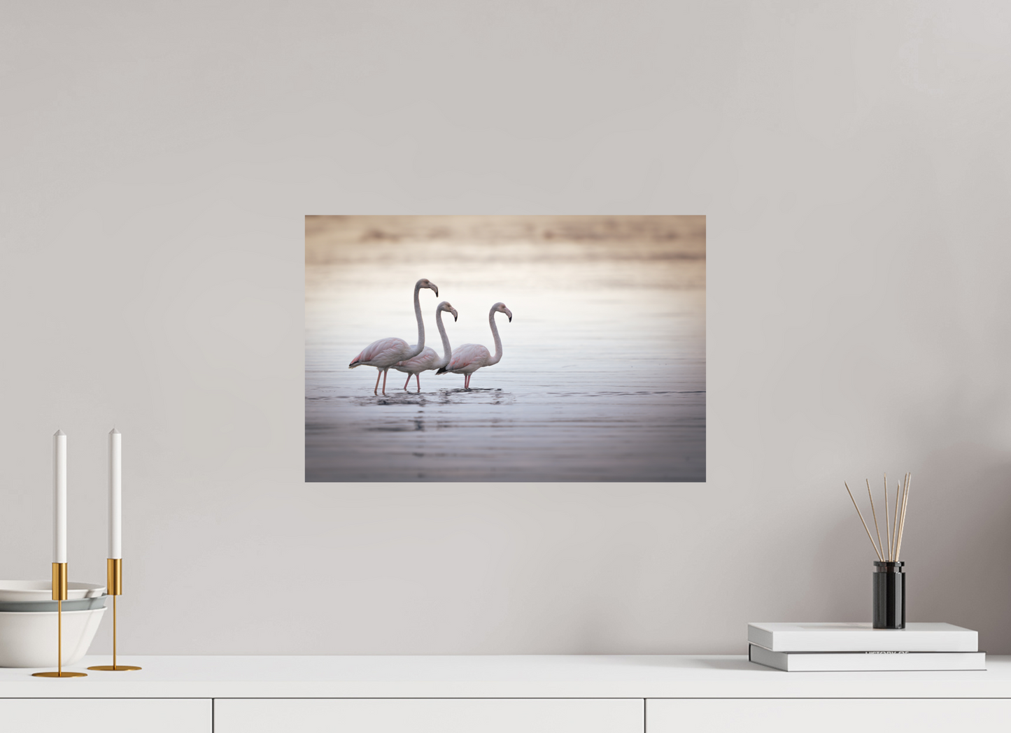 Flamant Rose | le trio juvénile