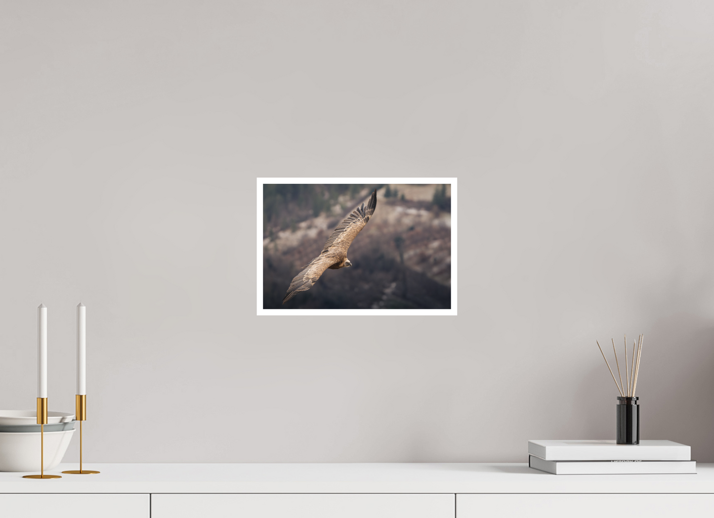 30 x 20 cm, Fine Art Gigantisme Royale