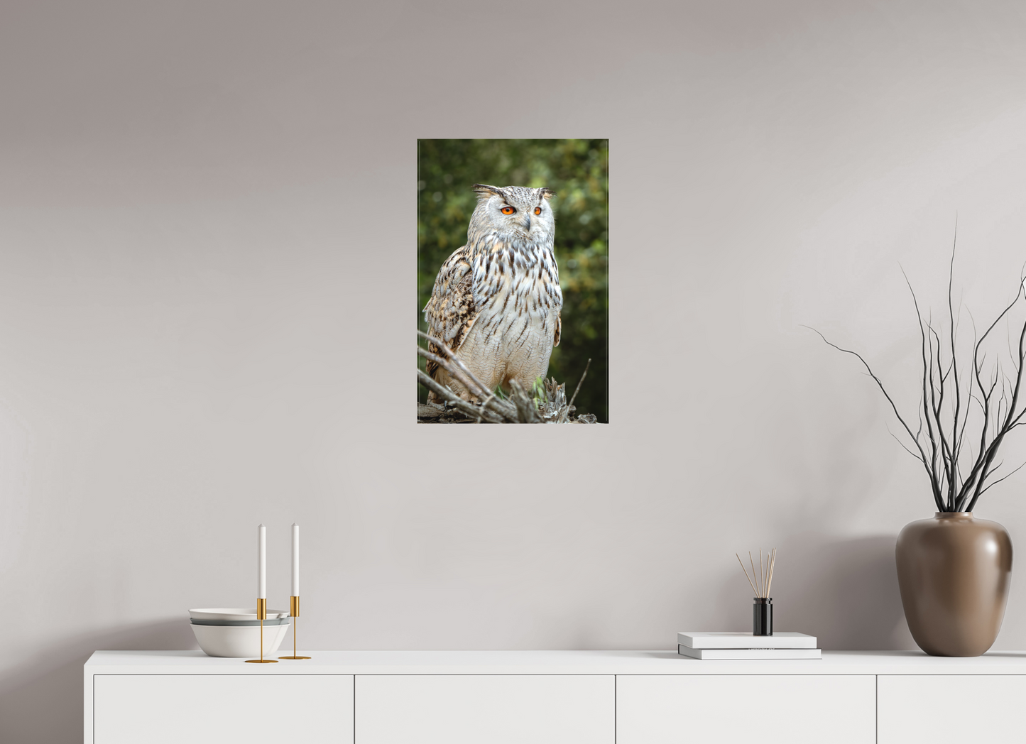 Hibou Grand-duc de Sibérie | belaïa ten’