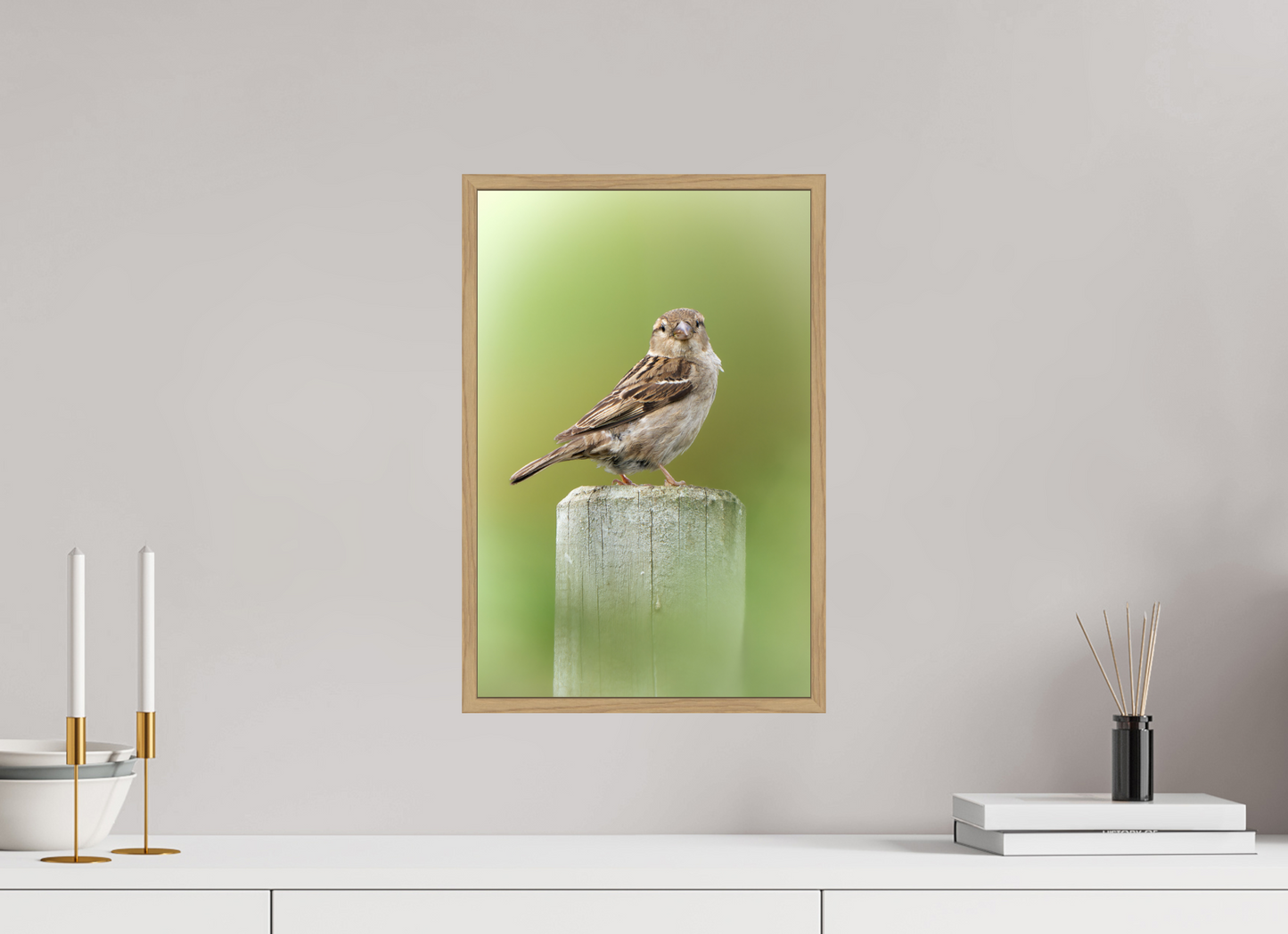 Moineau domestique | un regard mignon