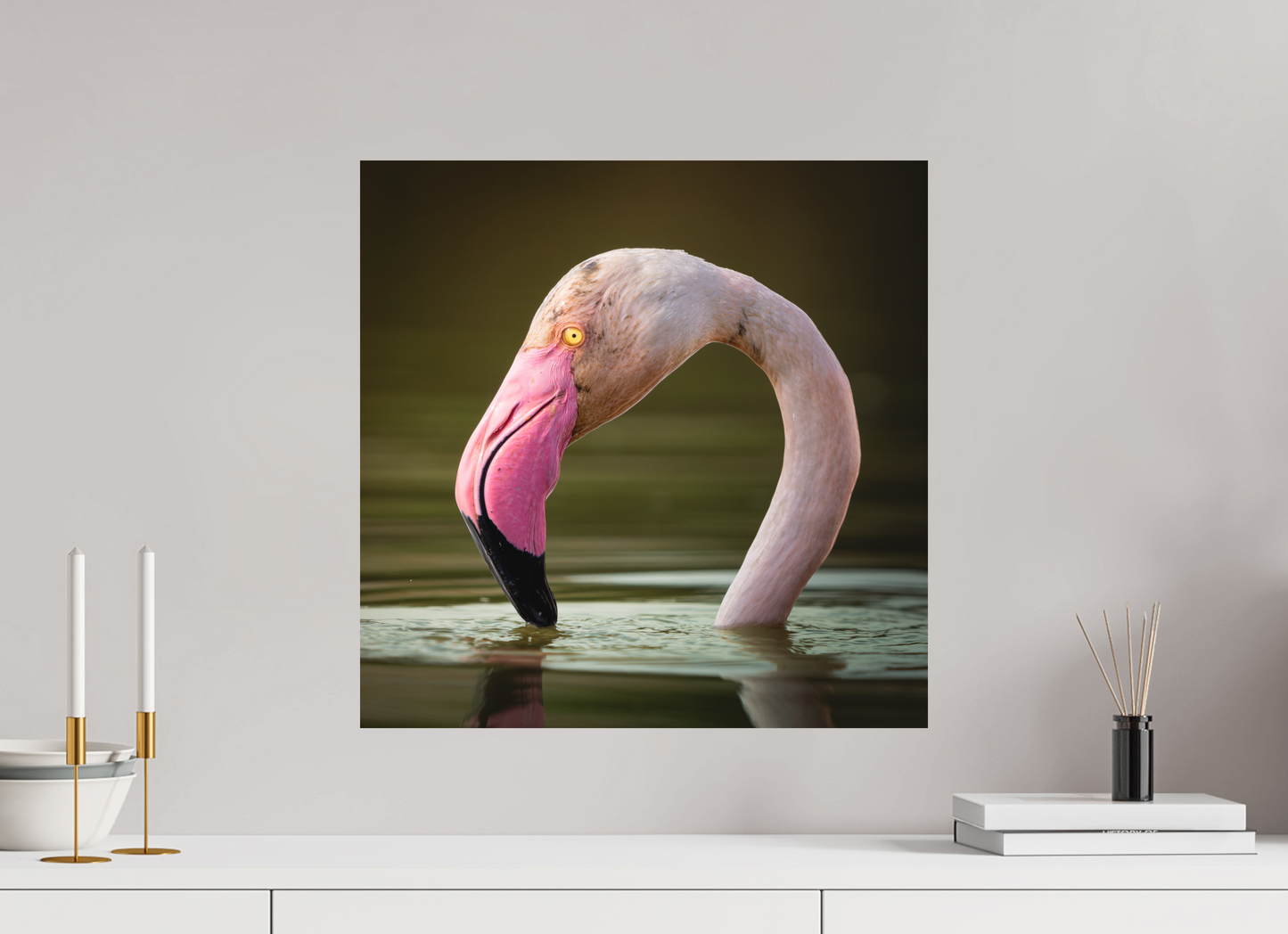 Flamant Rose | le flamant d'eau