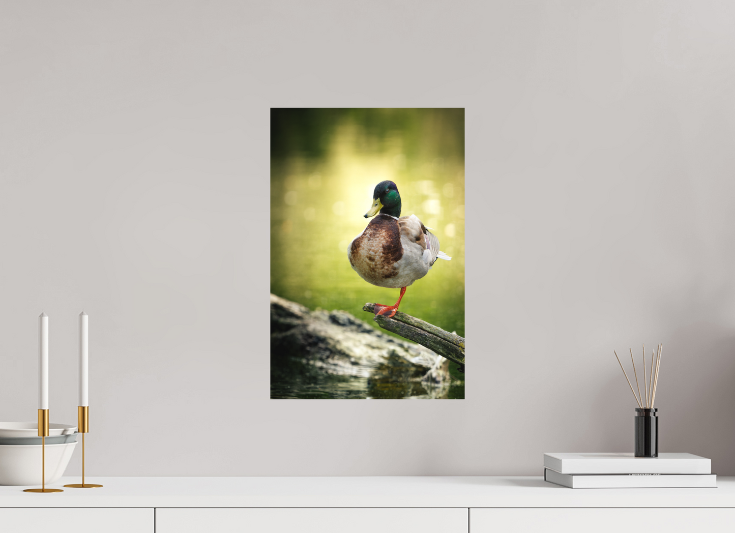 30 x 45 cm, Forex Vert Absolu