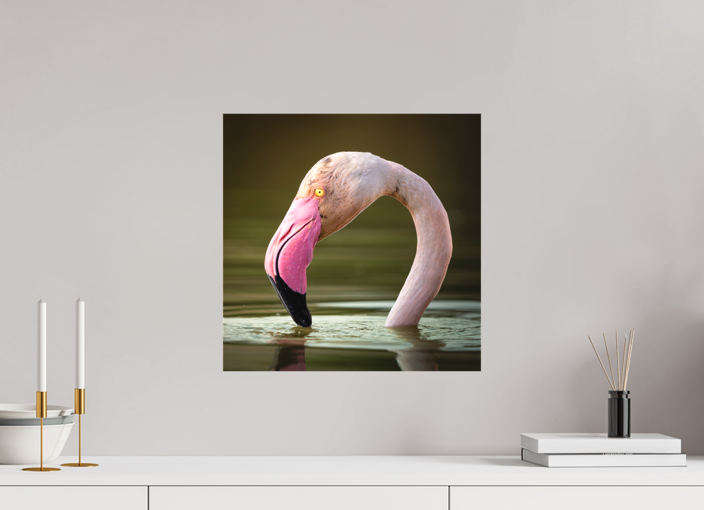 Flamant Rose | le flamant d'eau
